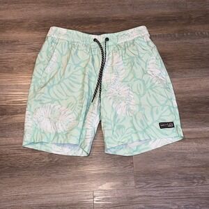 Hurley Swim Shorts Mens S Mint Green Palm Leaf Design One and Only Lido Stretch